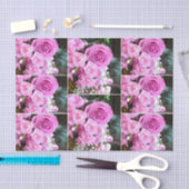 Papier Mousseline Souffle rose de bébé d'oeillets de roses (Artisanat)