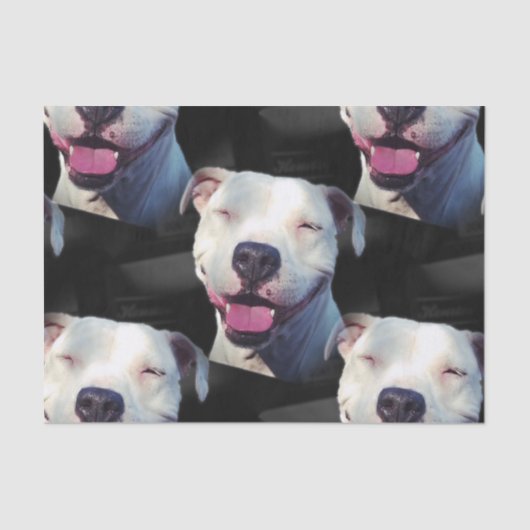 Papier Mousseline Sourire (Recto)