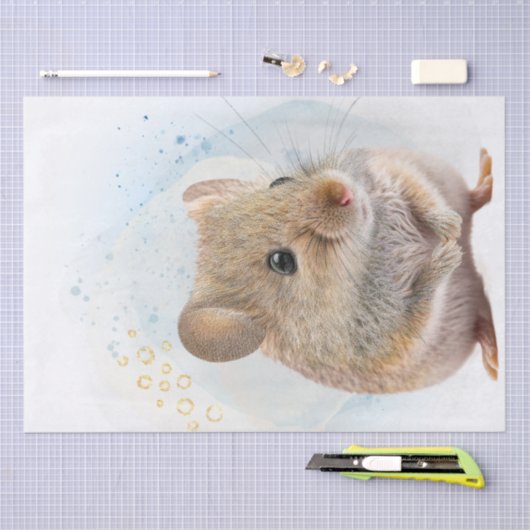 Papier Mousseline Souris (Artisanat)