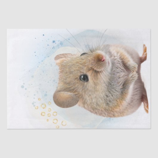 Papier Mousseline Souris (Recto)