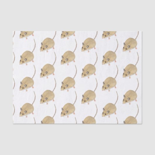 Papier Mousseline Souris (Recto)