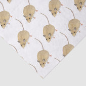 Papier Mousseline Souris (Détail)