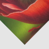 Papier Mousseline Souris couchée (Détail)