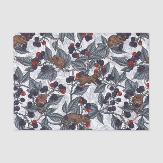 Papier Mousseline Souris et mûres sur blanc (Recto)