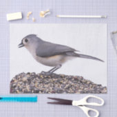 Papier Mousseline Souris Tufé Sur Papier Tissu De Semences D'Oiseaux (Artisanat)