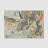 Papier Mousseline Sous la mer marine (Recto)