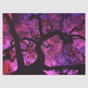 Papier Mousseline Sous l'arbre en rose et pourpre