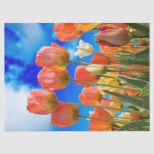 Papier Mousseline Sous le ciel de la Tulipe