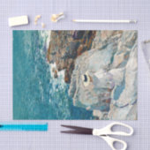 Papier Mousseline South Ledges, Appledore par Childe Hassam (Artisanat)