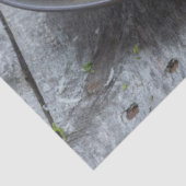 Papier Mousseline Spaghetti Carbonara Pasta avec Bacon et Parmesan (Détail)