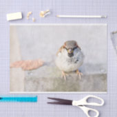 Papier Mousseline Sparrow - Le Guerrier (Artisanat)