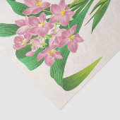 Papier Mousseline Spathoglottis Plicata (orchidée), Jean Jules Linde (Détail)