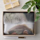 PAPIER MOUSSELINE SPIDER MONKEY (Cadeau)