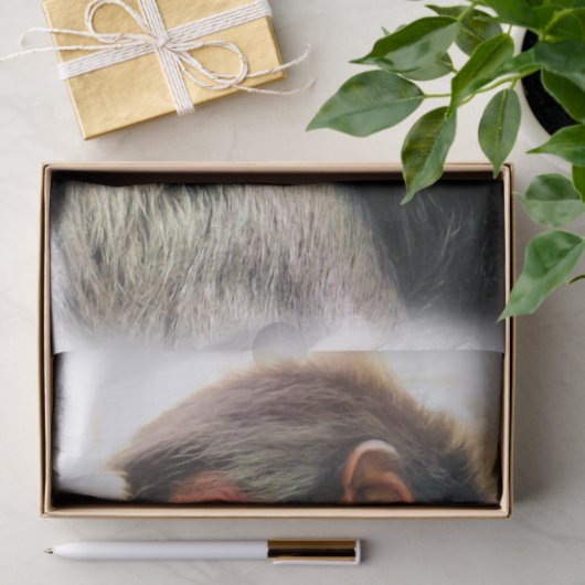 PAPIER MOUSSELINE SPIDER MONKEY (Cadeau)