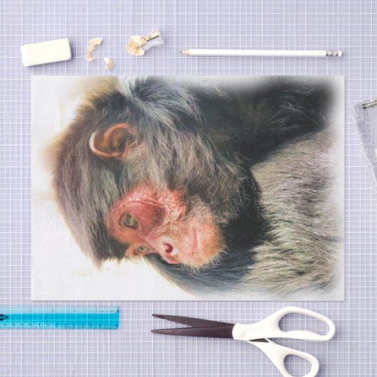 PAPIER MOUSSELINE SPIDER MONKEY (Artisanat)