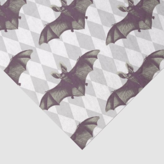 Papier Mousseline Spider Witch Series Design 1 (Détail)