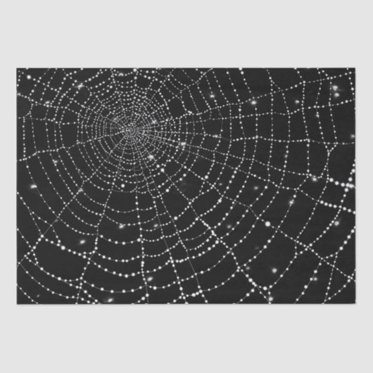 Papier Mousseline Spiderweb (Recto)
