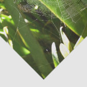 Papier Mousseline Spiderweb dans Tropical Leaves Nature (Détail)