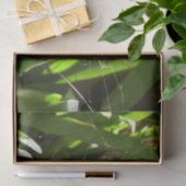 Papier Mousseline Spiderweb dans Tropical Leaves Nature (Cadeau)