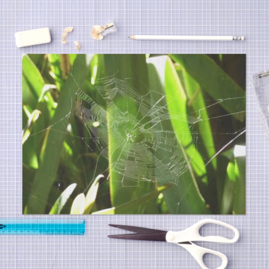 Papier Mousseline Spiderweb dans Tropical Leaves Nature (Artisanat)