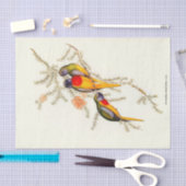 Papier Mousseline Splendide Parakeet En Herbe, Découpage (Artisanat)