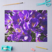 PAPIER MOUSSELINE SPRING CROCUS (Artisanat)