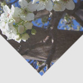 Papier Mousseline Spring Flowering Pear Tree (Détail)