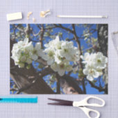 Papier Mousseline Spring Flowering Pear Tree (Artisanat)