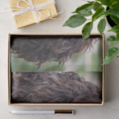 Papier Mousseline springer anglais spaniel.png (Cadeau)