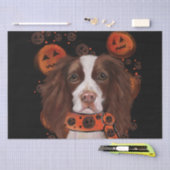 Papier Mousseline Springer Spaniel anglais (Artisanat)