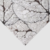 Papier Mousseline Squelette 1 de feuille d'Aspen (Détail)