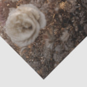 Papier Mousseline Squelette de découpage floral rose argent (Détail)