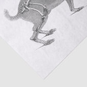 Papier Mousseline Squelette vintage effrayant (Détail)