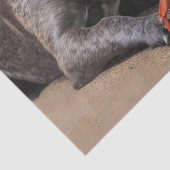 Papier Mousseline Staffy Est Des Amis Avec Un Crabe De Plage, (Détail)