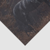 Papier Mousseline Stallion friésien Dressage (Détail)