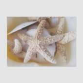 Papier Mousseline Starfish and Sand Dollars Creamy White Coastal (Recto)