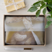 Papier Mousseline Starfish and Sand Dollars Creamy White Coastal (Cadeau)