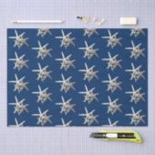 Papier Mousseline Starfish Motif bleu marine (Artisanat)
