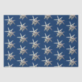 Papier Mousseline Starfish Motif bleu marine (Recto)