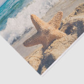 Papier Mousseline Starfish sur une plage de sable Photo (Détail)