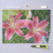 Papier Mousseline Stargazer Lilies Jardin Floral (Artisanat)