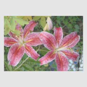 Papier Mousseline Stargazer Lilies Jardin Floral