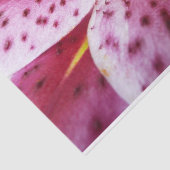Papier Mousseline Stargazer Lily brillant Magenta Floral (Détail)