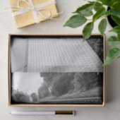 Papier Mousseline Station de train de Ventura (Cadeau)