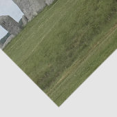 Papier Mousseline Stonehenge Angleterre dans un jour nuageux. (Détail)
