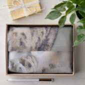 Papier Mousseline Stunning Snow Leopard Lying Down (Cadeau)