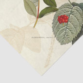 Papier Mousseline Succès vintage (Détail)