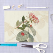 Papier Mousseline Succès vintage (Artisanat)