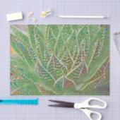 Papier Mousseline Succulent Cactus Plante Verte Vitrail Art (Artisanat)