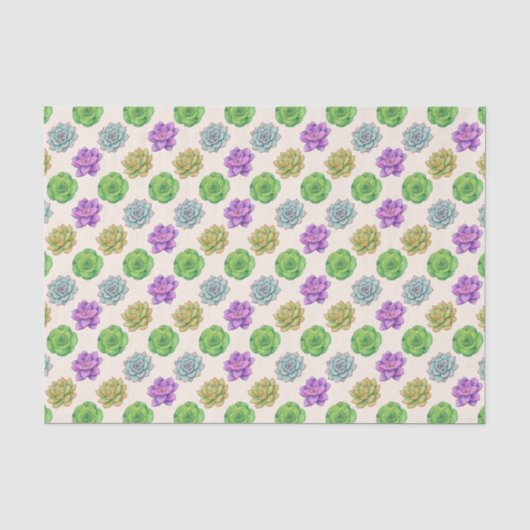 Papier Mousseline Succulentes (Recto)